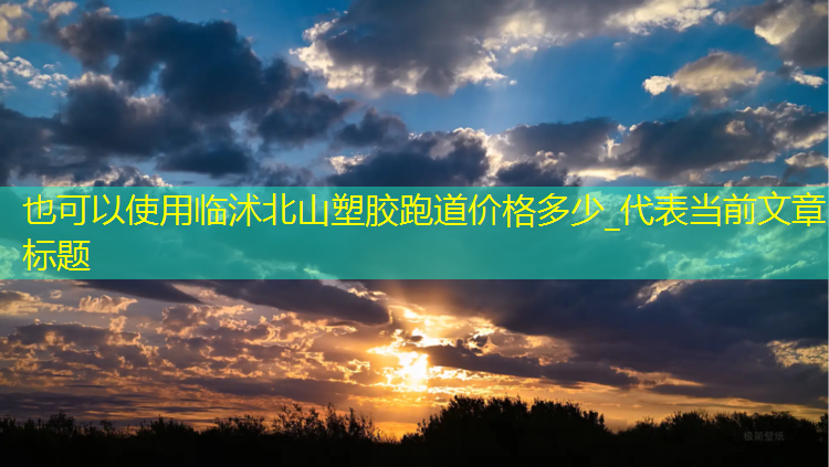 临沭北山塑胶跑道价格多少_