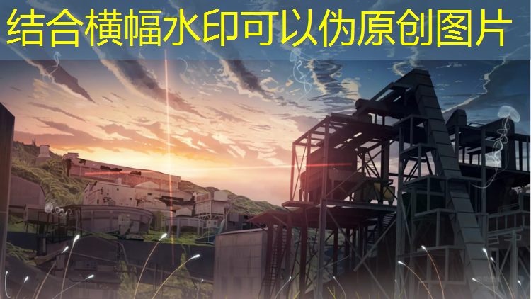体操球操满分多少分