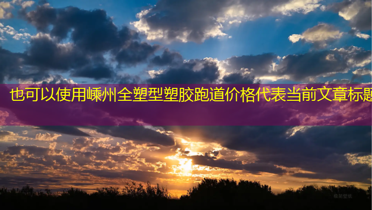 嵊州全塑型塑胶跑道价格