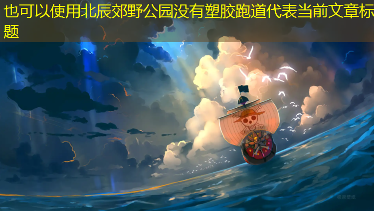 北辰郊野公园没有塑胶跑道