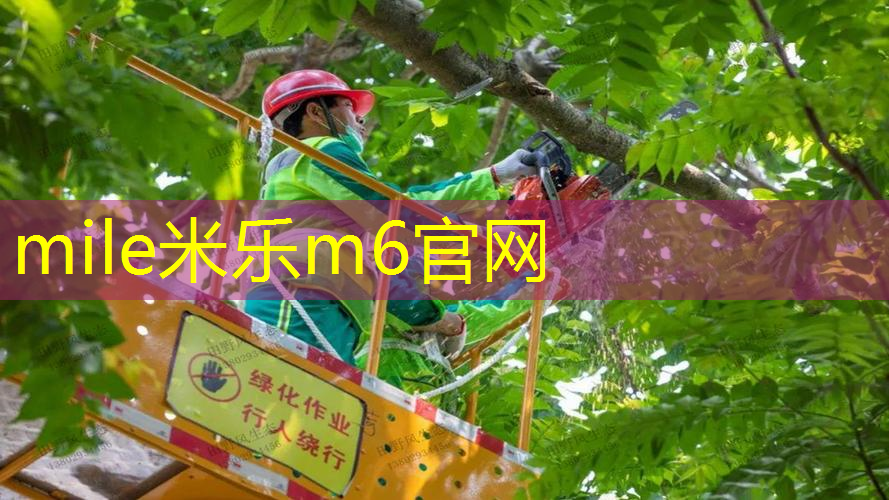 mile·米乐m6：我们的网球拍在哪英文