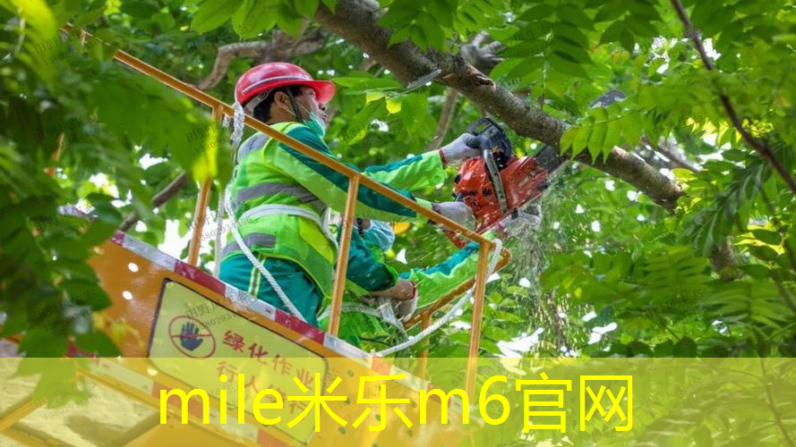 mile·米乐m6：网球拍胶条怎么绑多久能用