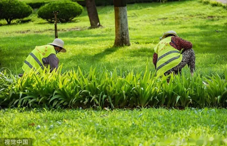 米乐m6官网登录入口：网球拍法网有什么区别