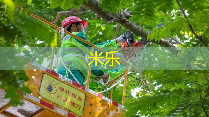 mile米乐m6官网：网球拍子连拍怎么用的