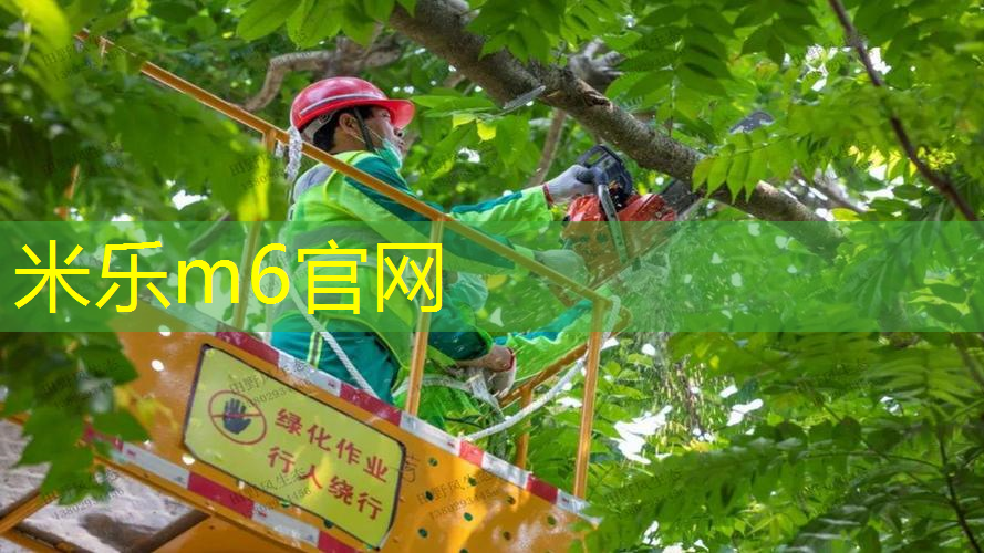 米乐m6官网登录入口：网球拍要不要握在末端