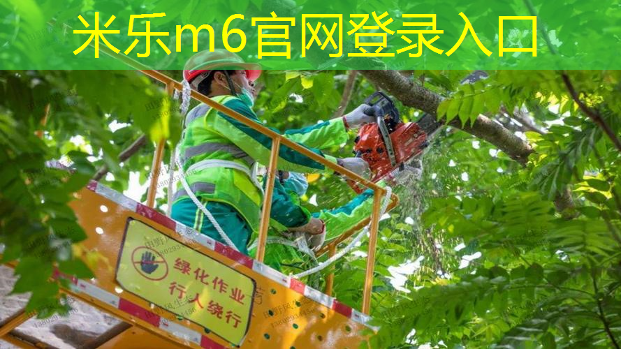 一副网球拍是几只