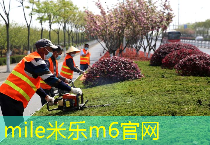 米乐m6官网：新加坡租借网球拍怎么样