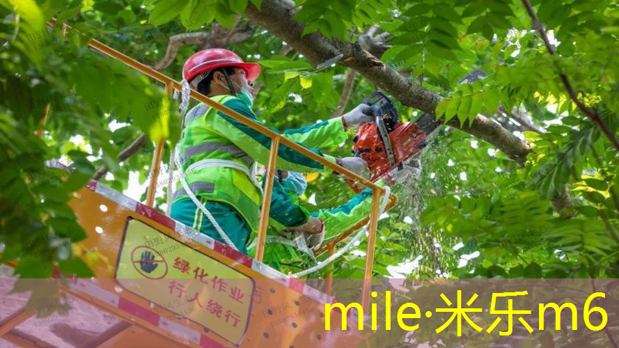 mile米乐m6官网：有个圆圈的网球拍叫什么