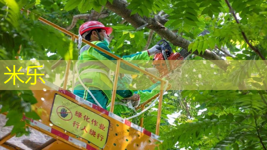 网球拍拍头轻重的区别