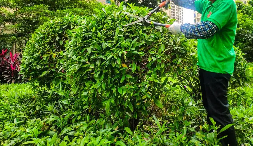 米乐：网球拍避震器的用途有哪些