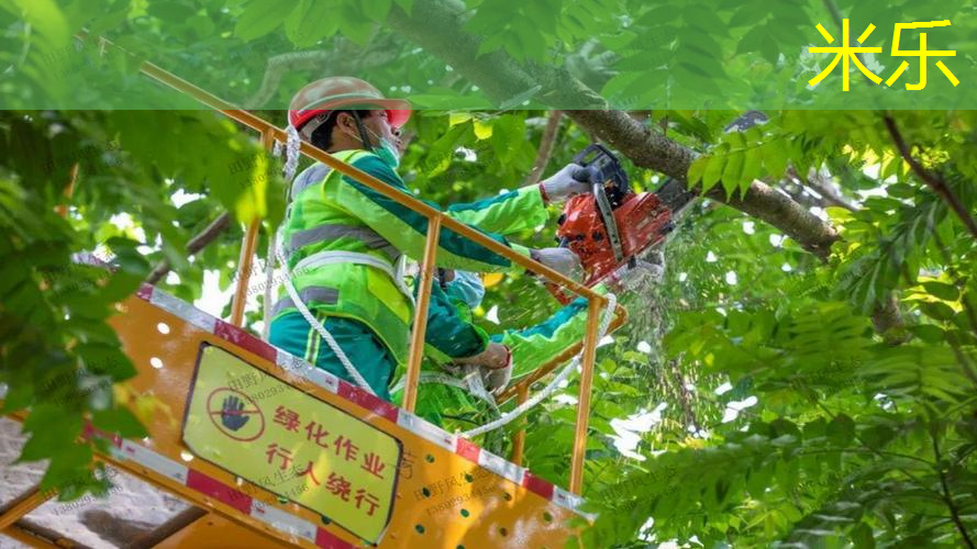 mile·米乐m6：田径器材常用的材料