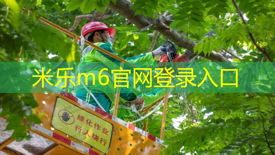 米乐m6官网登录入口：拼多多上乒乓球台好吗