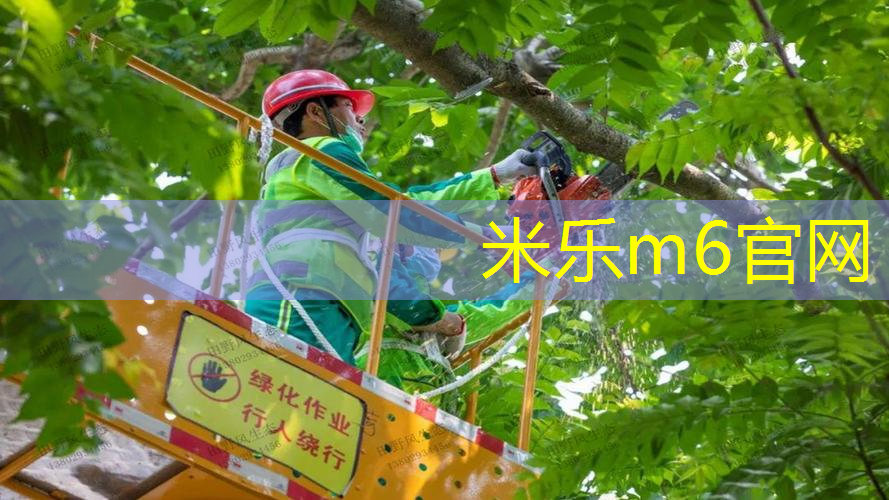 mile·米乐m6：乒乓球台的左右