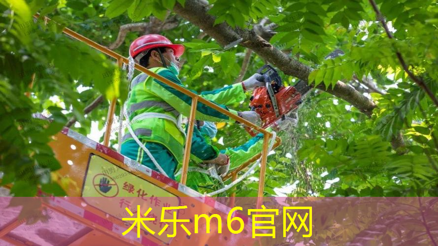 mile·米乐m6：双杠训练与俯卧撑哪个更有效？