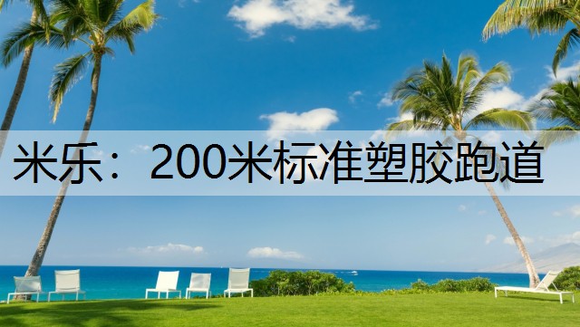 200米标准塑胶跑道 200米标准塑胶跑道