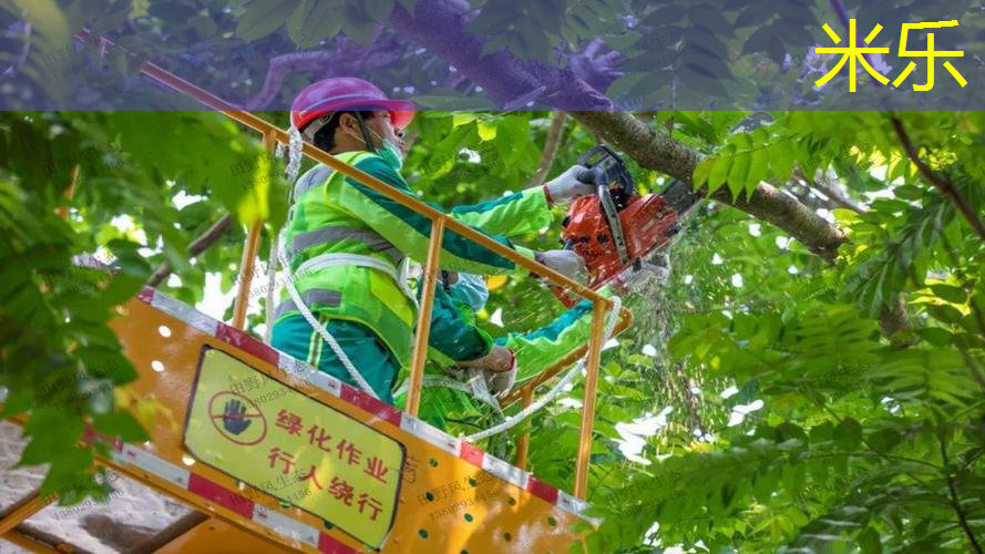 网球拍线多少条最好看的