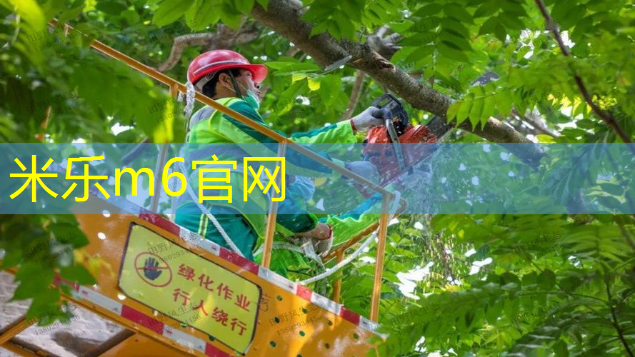 网球拍胶条怎么绑多久能用