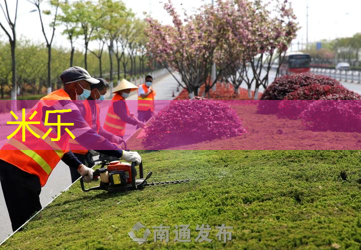 网球拍底座一体收纳