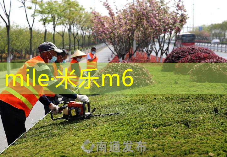 网球拍新手黑色怎么选好