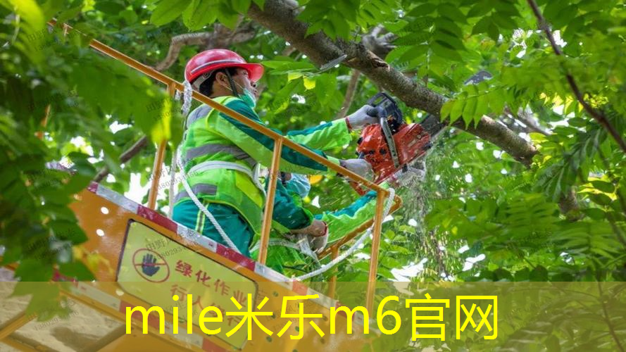 网球拍子连拍怎么用的