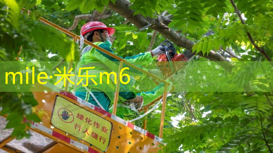 网球拍要不要握在末端