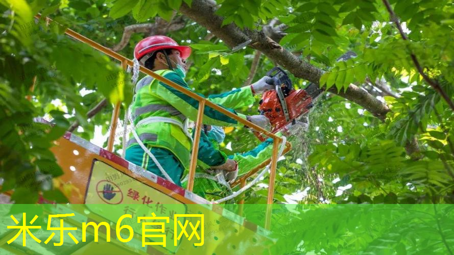 冬天打网球拍子有影响嘛