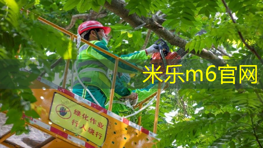 网球拍单打神器怎么用的