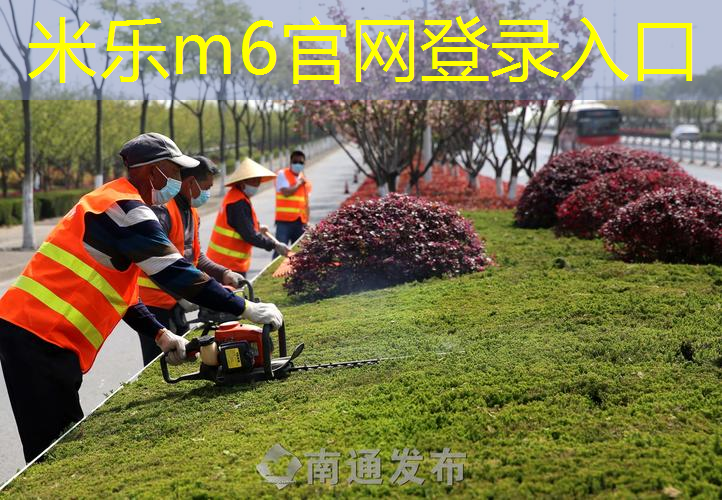 网球拍小黑白拍系列有哪些