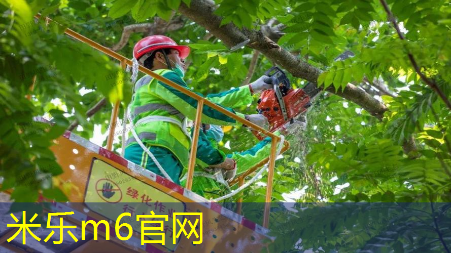 有个圆圈的网球拍叫什么