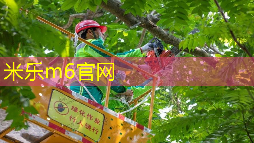 网球拍拍头轻重的区别