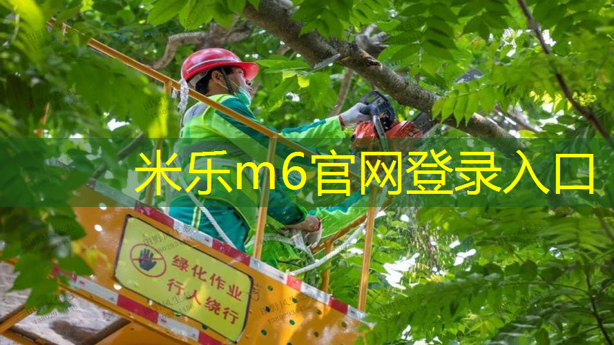 网球拍子是什么样子