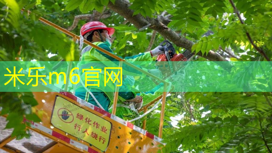 网球拍的长宽分别是多少
