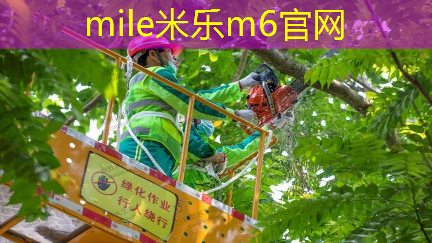 乒乓球台塑料桌面